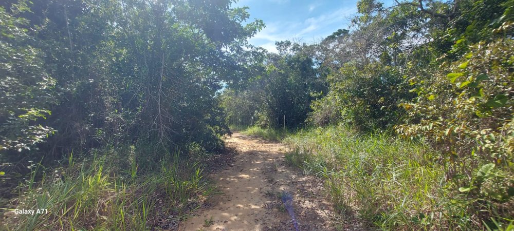 Lote - Venda - Arraial D'ajuda - Porto Seguro - BA